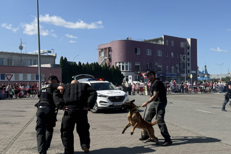 Podujatia / SOS 2025 - foto