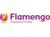 KVETY FLAMENGO KVETY FLAMENGO